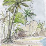 La plage, veillée par son chien