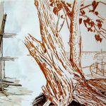 Balais, et arbres sur la plage