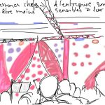 Les femmes chefs d'entreprise...