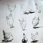 Poules