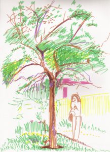 A tree in Giverny, sketch by Pauline Fraisse