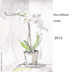 Carte de voeux orchidée, Pauline Fraisse